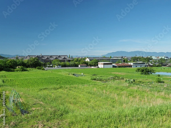 Obraz 奈良県 天理市 山の辺の道
