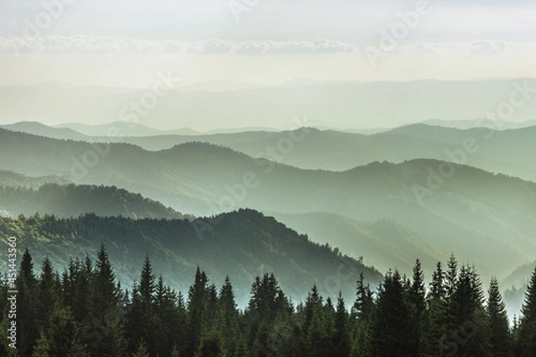 Fototapeta Mystic landscape of misty mountain hills. Filtered image: cross processed old effect.