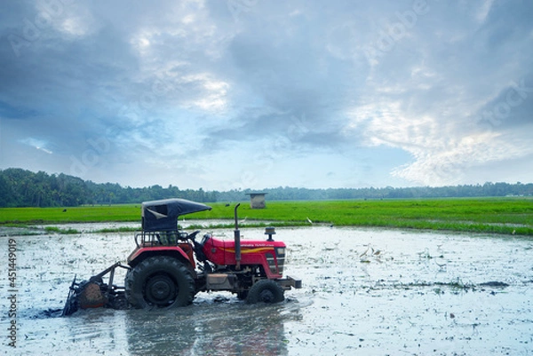 Obraz A tractor prepares a paddy field, Tractor Plowing a rice field for rice planting, Nature photography