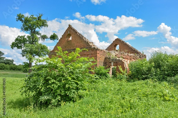 Fototapeta abandoned red brick estate surrounded by greenery against the background of the sky