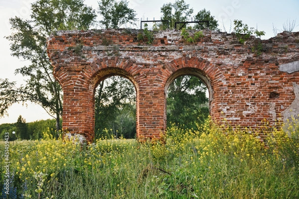 Fototapeta part of a ruined red brick wall surrounded by greenery