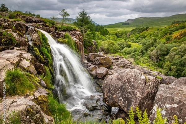 Fototapeta Loup Of Fintry 