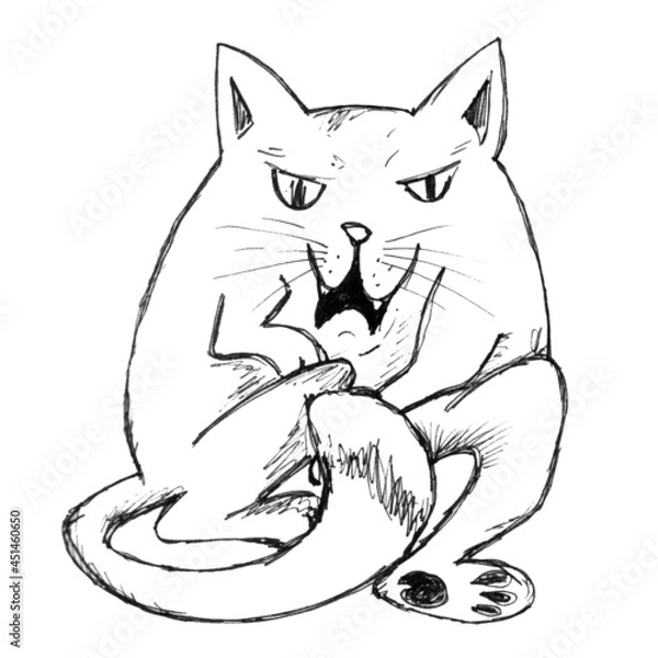 Fototapeta Funny cat on a white background, graphic drawing
