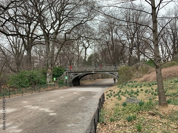 Obraz bridge in the park