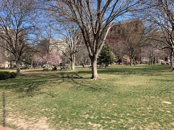 Obraz bench in the park