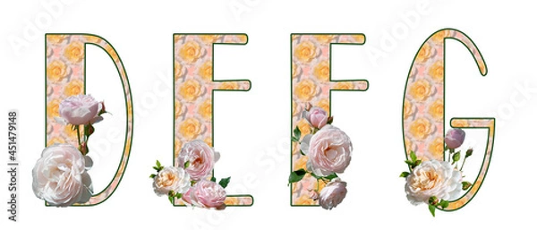 Fototapeta Capital letters of the Latin alphabet D, E, F, G with pink blurred floral fill and white roses. Isolated elements on a white background. Broadway.