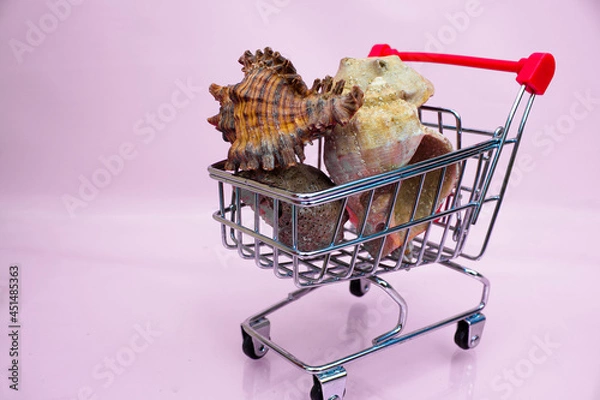 Fototapeta Shells stacked in a supermarket cart on a white gray background