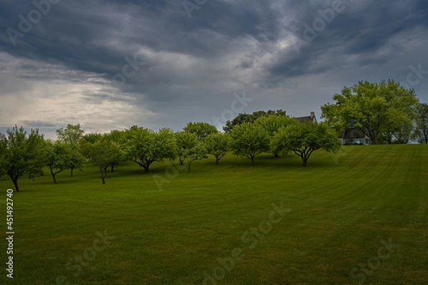 Fototapeta 2021-08-17 LUSH GREEN PASTURE LINED WITH GREEN TREES AND STORMY CLOUDS