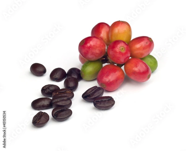 Fototapeta coffee beans .
