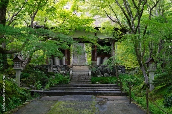 Fototapeta 常寂光寺