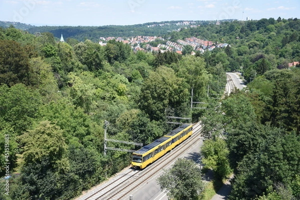 Obraz train in trees