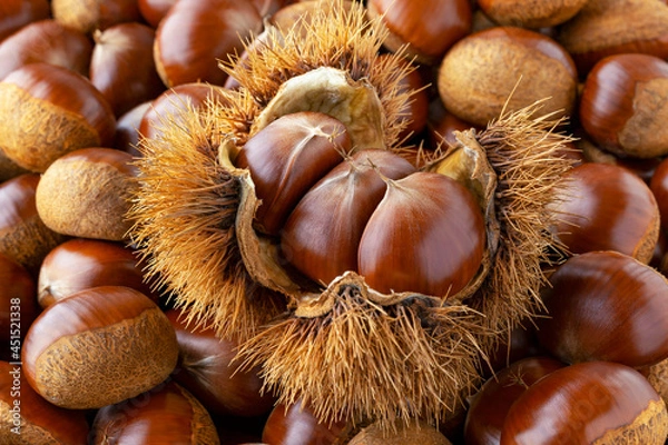 Fototapeta 栗