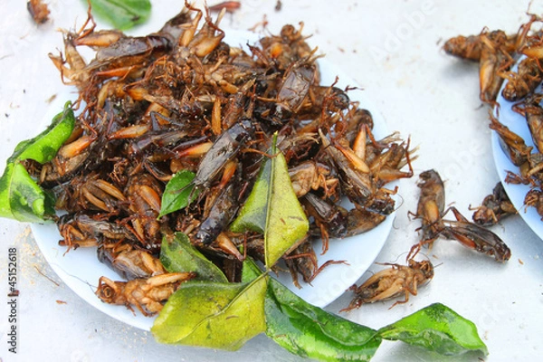 Obraz Fried crickets