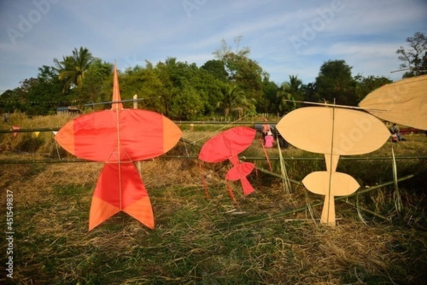 Obraz Red Chula Isan kite