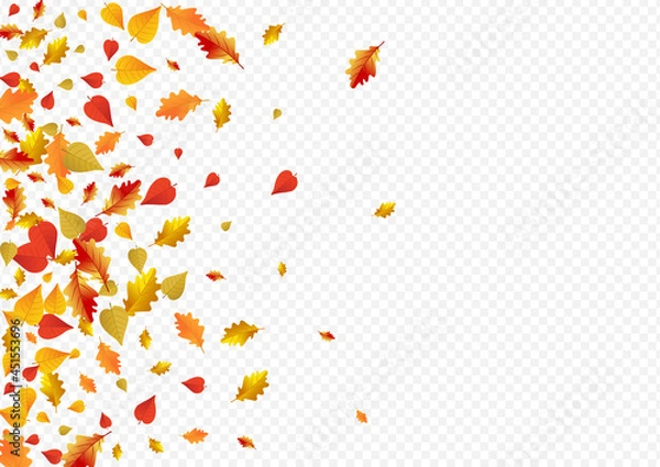 Fototapeta Colorful Floral Vector Transparent Background.