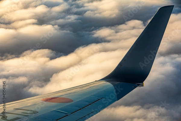 Fototapeta 飛行機の翼