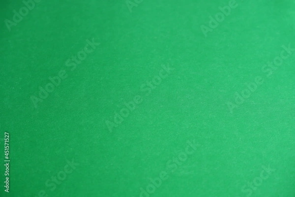 Fototapeta Green background. The texture of the cardboard.