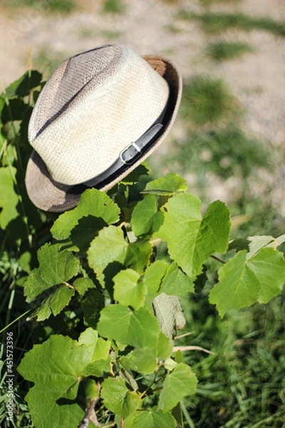 Obraz hat on the grass