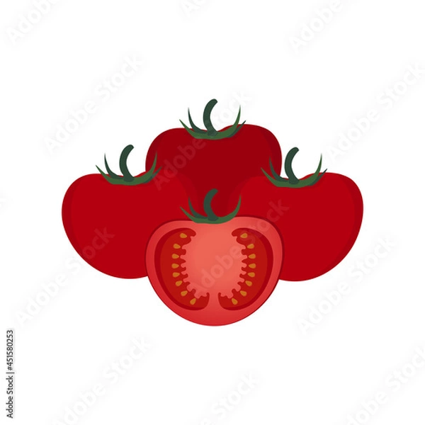 Fototapeta Tomato vector illustration.Set with whole and halved tomato,isolated on white background.