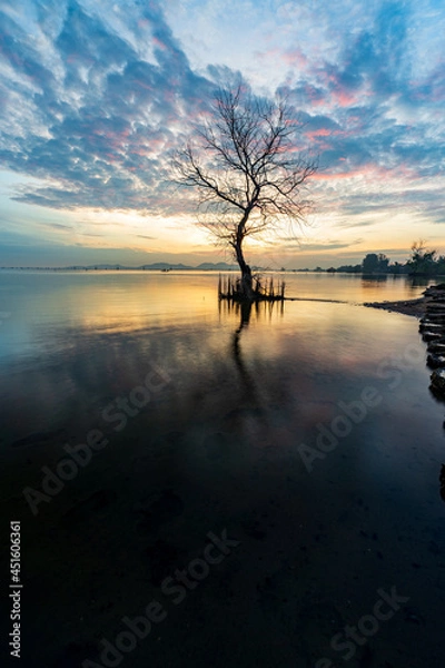Obraz A dead tree on the beach at sunrise time.