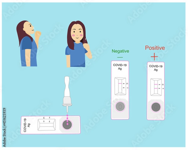 Fototapeta Girl presents how to use Antigen Test Kit and show how its process and read results negative and positive with coronavirus .vector illustration 