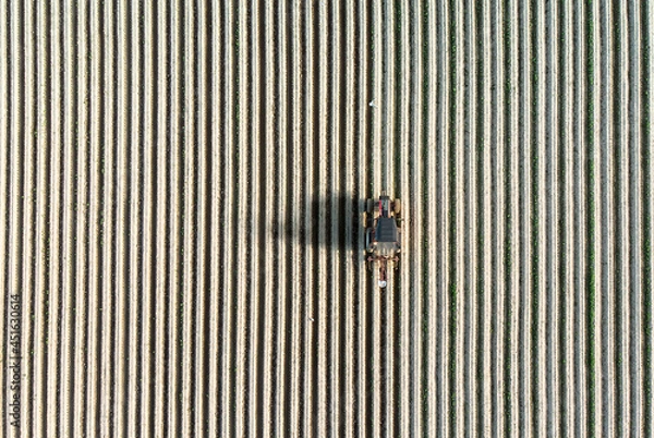 Obraz Tractor On The Fields
