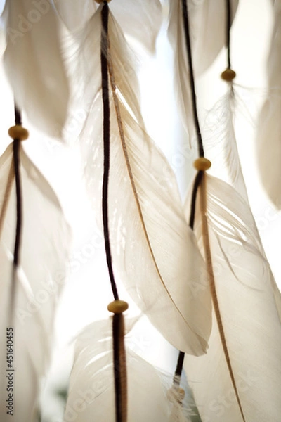 Fototapeta light feathers. great background for design