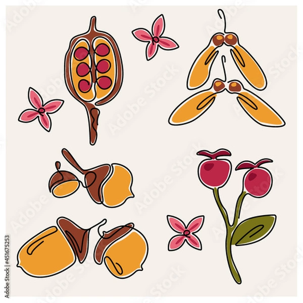 Obraz autumn herbarium