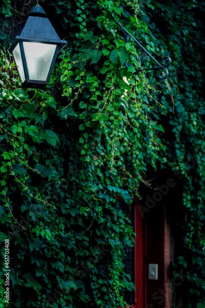 Obraz lantern in the night