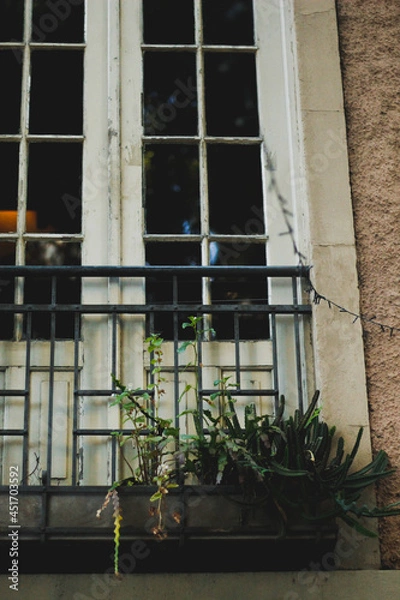 Obraz windows in the building