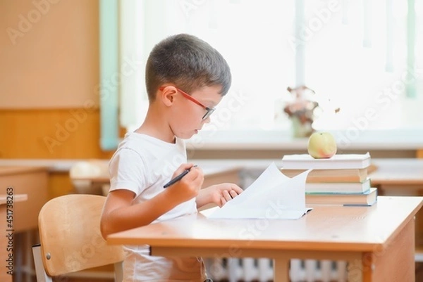Fototapeta School boy in classroom at lesson