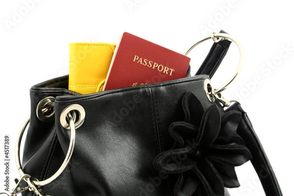 Obraz passport in a bag