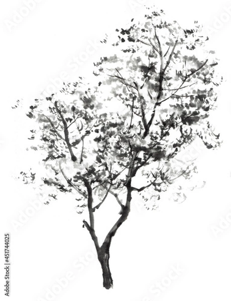 Fototapeta 水墨画技法で描かれた樹木