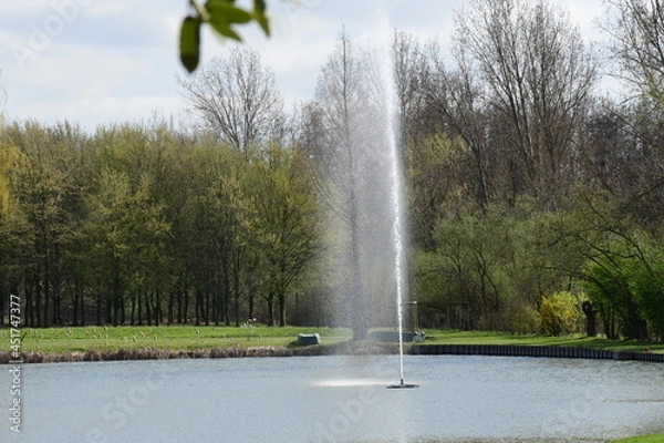 Obraz jet d'eau
