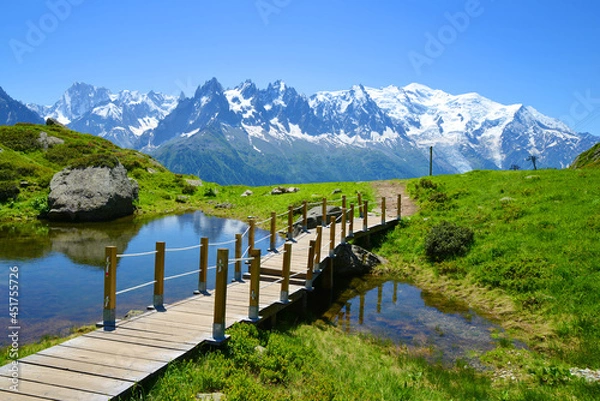 Fototapeta Idyllic landscape with Mont Blanc mountain range in sunny day. Nature Reserve Aiguilles Rouges, French Alps, France, Europe.