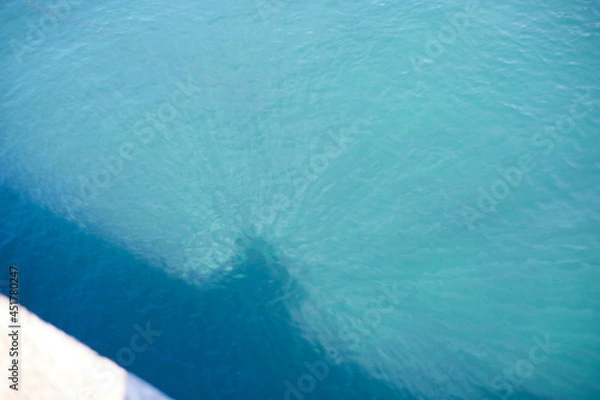 Fototapeta 水面に映る影