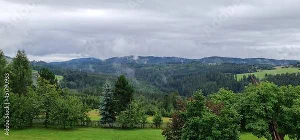 Obraz landscape with trees