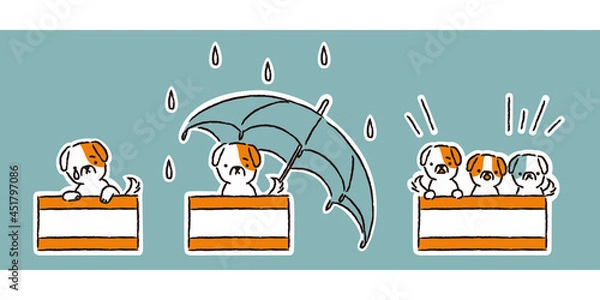 Obraz ダンボールの捨て犬・雨の中・子犬（シンプル）