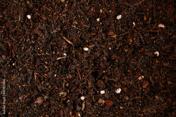Fototapeta 흙