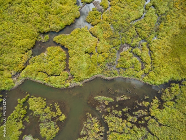 Obraz Wetlands from Above