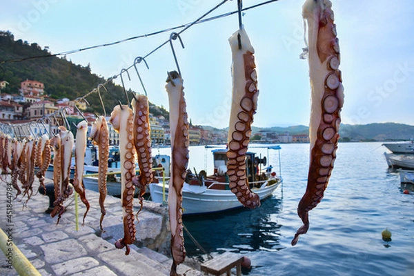 Fototapeta octopuses on hook, port of Gythion, Greece 