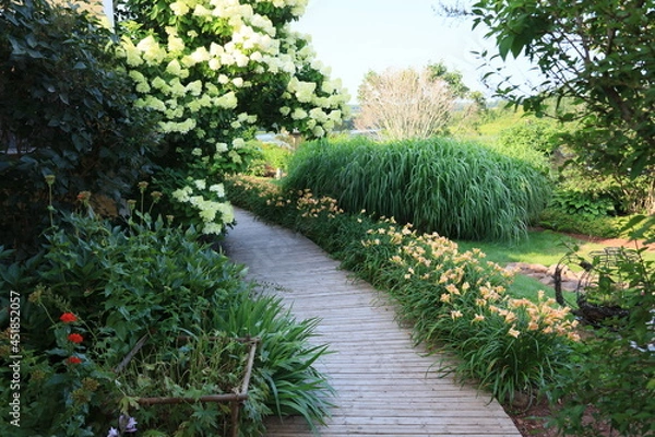 Obraz 赤毛のアンの島、カナダのプリンスエドワード島