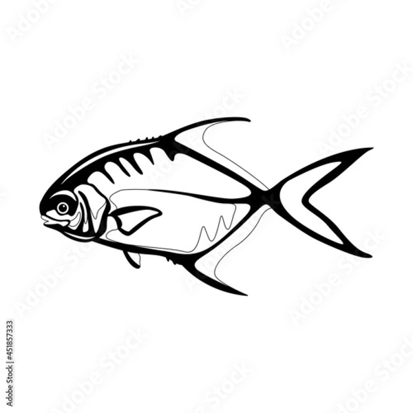 Fototapeta permit  fish , vector illustration, flat style, side