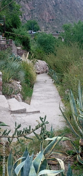 Fototapeta a hard road