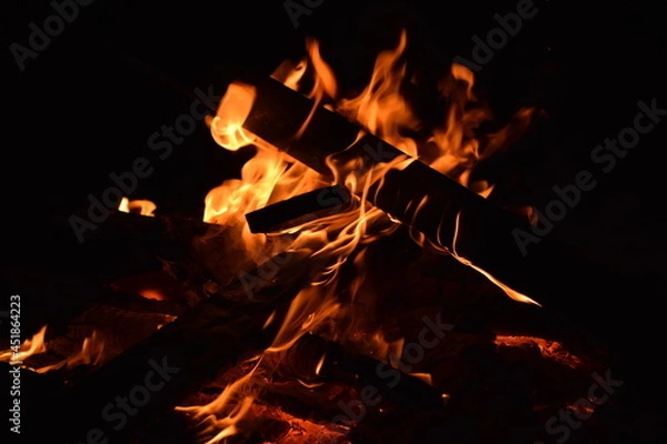 Obraz Logs burning in the fire