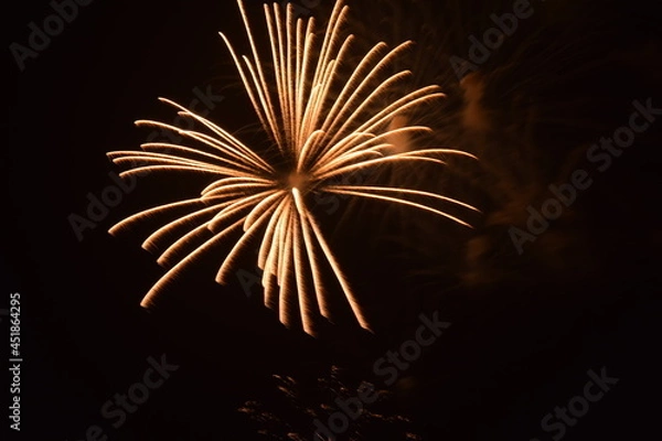 Obraz Firework in the night sky