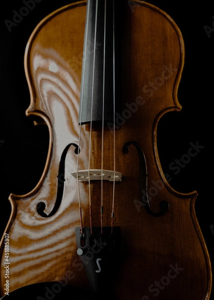 Obraz violin isolated on black
