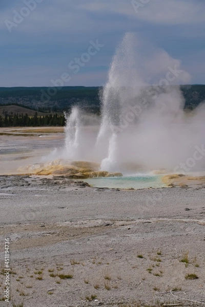 Obraz イエローストーン8月の間欠泉(Spasm Geyser)