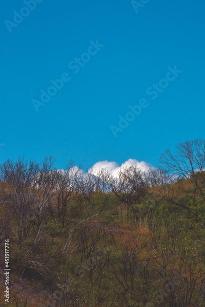 Obraz Clouds behind grass