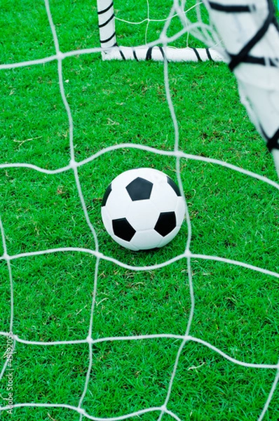 Fototapeta Football and soccer fields.